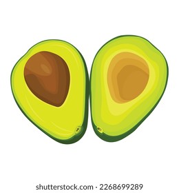 Vector illustration of fresh whole, half, cut slice avocado on white background. Summer fruits for healthy lifestyle. Organic fruit. Cartoon style. Vector illustration for digital resources