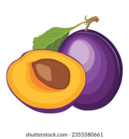 Vector illustration of fresh whole plum with green leaf in cartoon style. Sliced fruit vector in cartoon flat style. Sweet plum isolated on a white background. Purple healthy fresh fruit collection.