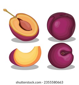 Vector illustration of fresh whole plum with green leaf in cartoon style. Sliced fruit vector in cartoon flat style. Sweet plum isolated on a white background. Purple healthy fresh fruit collection.