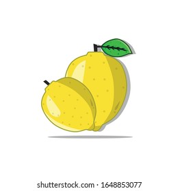Vector illustration of fresh yellow lemon. Lemon contains vitamin C which is quite high