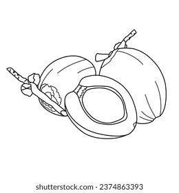 Ilustración vectorial de boceto fresco de fruto de coco de mano, página de libro de colorido de corte de coco joven línea de contorno vectorial. aislado en fondo blanco
