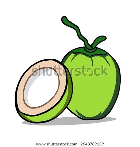 Vector illustration fresh young coconut, green coconut isolated in white background