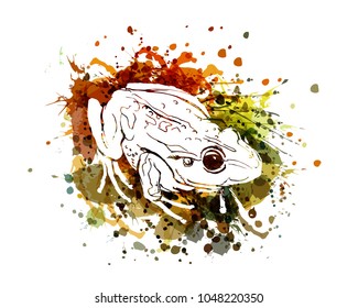 Vector illustration of a frog
