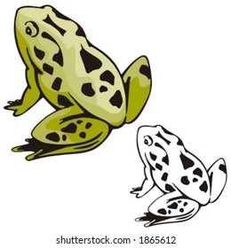 Vector illustration of a frog.