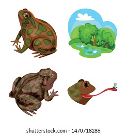 Vector illustration of frog and anuran icon. Set of frog and animal stock symbol for web.