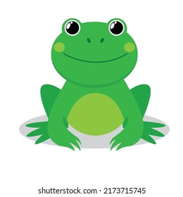 vector illustration of a frog, green frog vector illustration, suitable for web design, labels, books, logos, applications