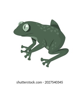 Vector illustration of a frog. Hand drawn isolated green amphibian. Design for logo, icon, children book, banner.