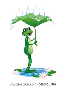 Vector illustration of a frog hiding from the rain under a big leaf