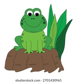 Vector illustration a frog is sitting on stone