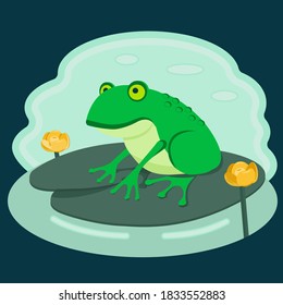 Vector illustration of a frog in a swamp. Frog on a leaf.