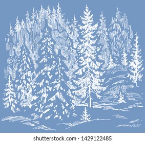 Vector illustration of frozen fir forest in december