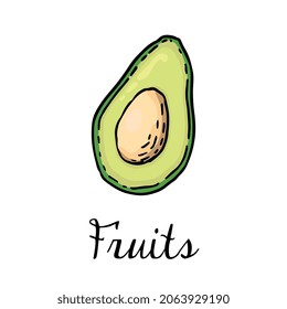 Vector Illustration of Fruit Avocado Sketch Style Mediterranean Cuisine Ingredient