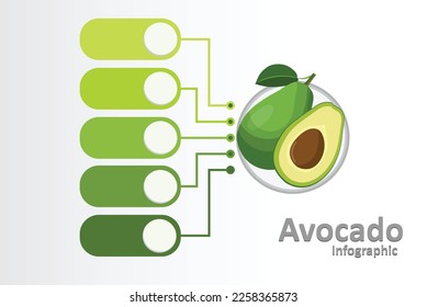 Ilustración vectorial de la infografía de círculo de frutas sobre fondo blanco. Nutrición y concepto de alimentación saludable. Ilustración vectorial en diseño plano.