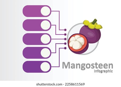 Ilustración vectorial de la infografía de círculo de frutas sobre fondo blanco. Nutrición y concepto de alimentación saludable. Ilustración vectorial en diseño plano.