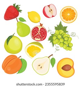 Vector illustration of fruit collection in cartoon flat style, illustrations set. Tropical fruit and graphic design elements. Ingredients color cliparts. Sketch style smoothie or juice ingredients.