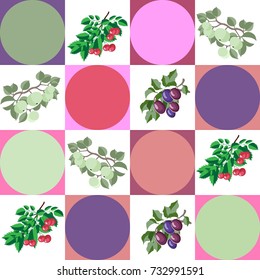 Vector illustration fruit and colorful circles in squares