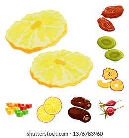 Vector illustration of fruit and dried  sign. Collection of fruit and food  stock symbol for web.
