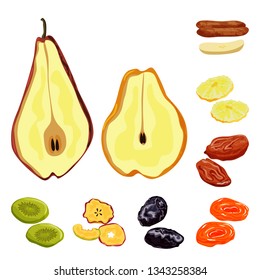 Vector illustration of fruit and dried  symbol. Set of fruit and food  stock vector illustration.