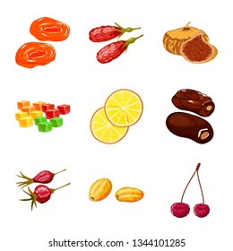 Vector illustration of fruit and dried  symbol. Collection of fruit and food  vector icon for stock.