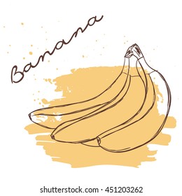 Vector illustration of fruit. Hand drawn on white background. Grunge. Banana