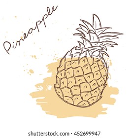 Vector illustration of fruit. Hand drawn on white background. Grunge. Pineapple