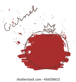 Vector illustration of fruit. Hand drawn on white background. Grunge.Garnet