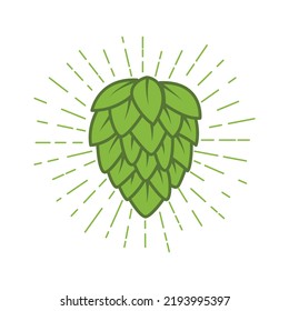 Vector illustration of fruit hops. icon for beer mockup emblem modern trendy element design