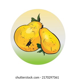 Vector illustration of fruit logo. Pear as a designer's blank, emblem,