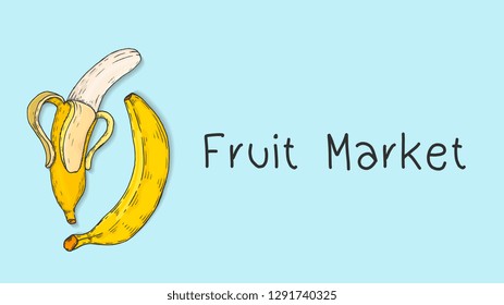 vector Illustration of Fruit Market Template with Bananas Sketch