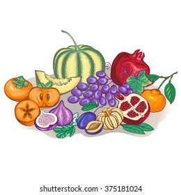 Vector illustration of fruit. Objects isolated on white background. Design elements for processing fruit shops, restaurants menu, agricultural fairs.