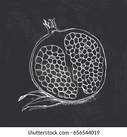 Vector illustration of fruit painted in engraving style. The sliced garnet drawn with chalk on blackboard