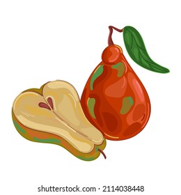 Vector illustration fruit pear hand draw style. Vector painting.