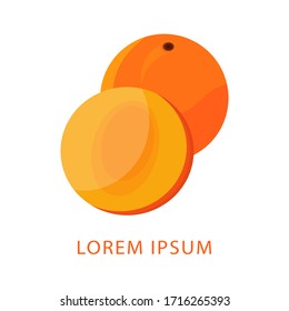 Vector illustration of fruit persimmon.  Isolated fruit persimmon concept. persimmon Logo.