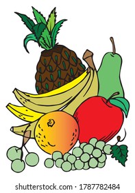 vector illustration of fruits . 