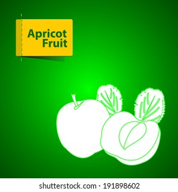 Vector illustration of fruits