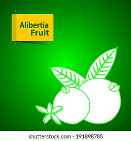 Vector illustration of fruits