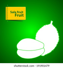 Vector illustration of fruits