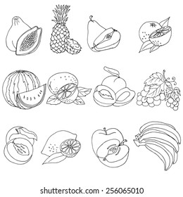 vector illustration of fruits