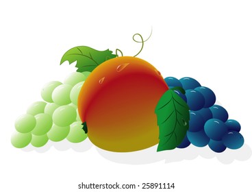 vector illustration "fruits"