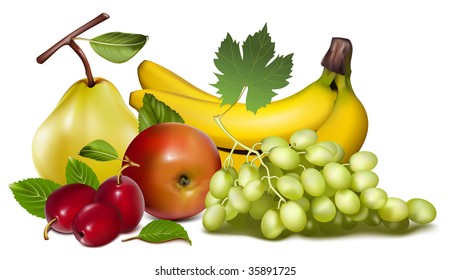 Vector illustration. Fruits.