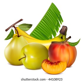 Vector illustration. Fruits.