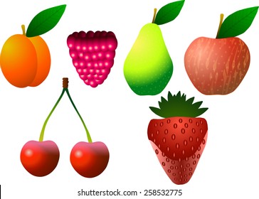 Vector illustration. Fruits. Apricot, raspberry, pear, apple, cherry and strawberry.