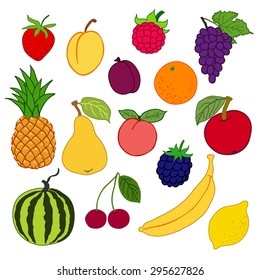 vector illustration: fruits and berries