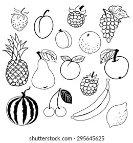 vector illustration: fruits and berries