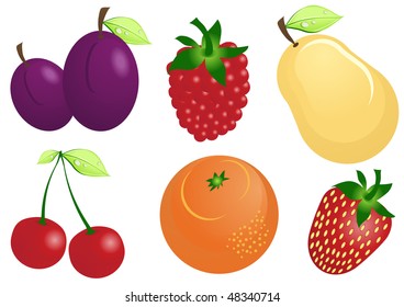 Ilustración vectorial de frutos y bayas