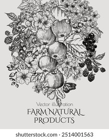 Vector illustration fruits and berries. Apple, blackberry, raspberry, cherry, rose hip, currant