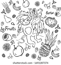 Vector illustration with fruits berries and monkey hand drawing