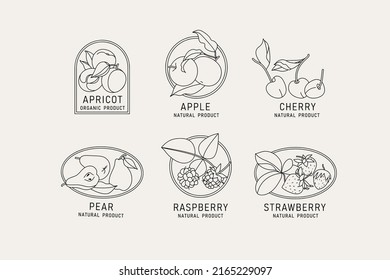 Vector illustration fruits and berries - vintage minimalist style. Logos set composition in retro botanical style