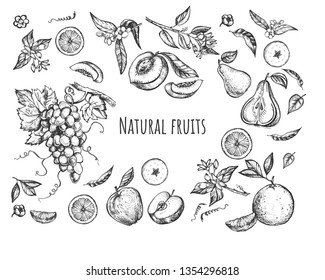 Vector illustration of fruits and blossom trees flowers set. Juicy fresh apples, pears, grapes, peaches, oranges, apricots whole, sliced and halved. Vintage hand drawn style.