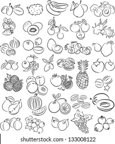 vector illustration of  fruits collection in black and white